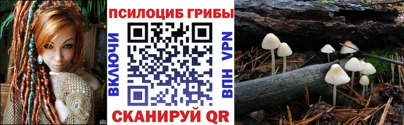 где можно купить наркотик  Чекалин  Псилоцибиновые грибы мухоморы 